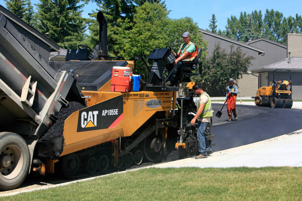 Professional Driveway Pavers in Taos, NM